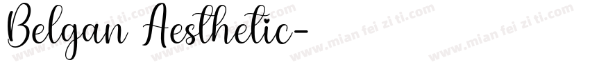 Belgan Aesthetic字体转换